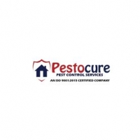 Pestocure Pest Control Services